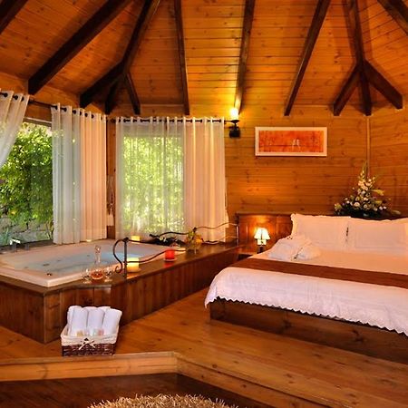 Talia Cabin Guest & Spa Rosh Pinna Ngoại thất bức ảnh
